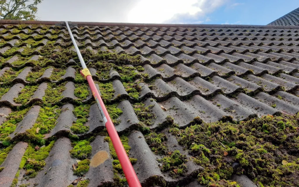Roof & Gutter Cleaning Process