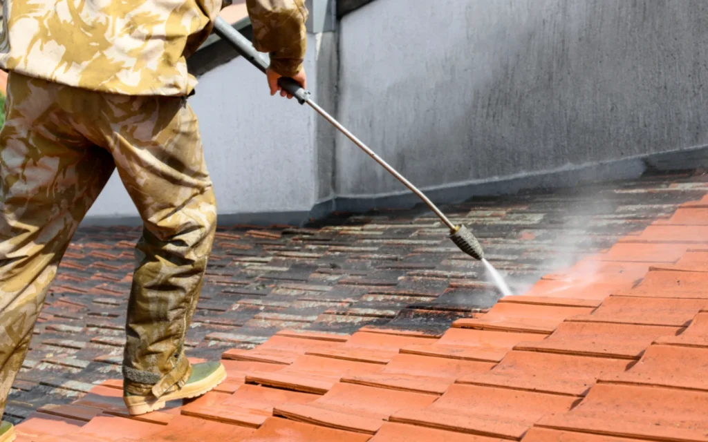 Roof Cleaning Company